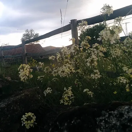 La Casa De Ruth * Barajas de Gredos
